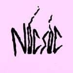 Nicsic