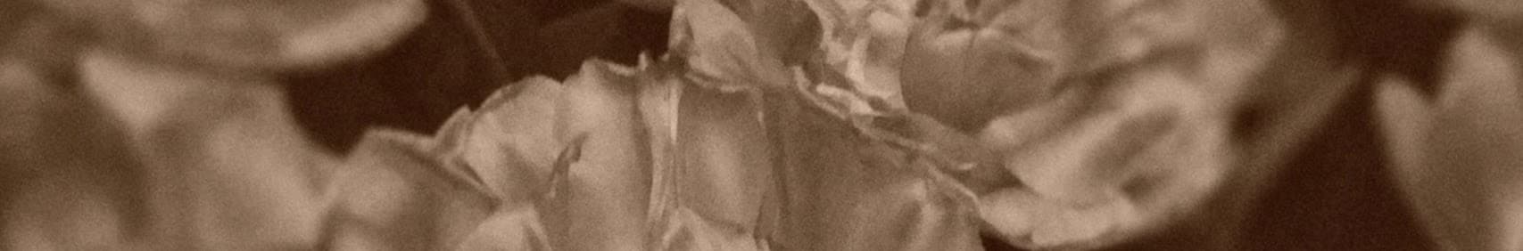 Luminescence banner