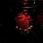 Alibis