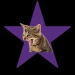 StarCats