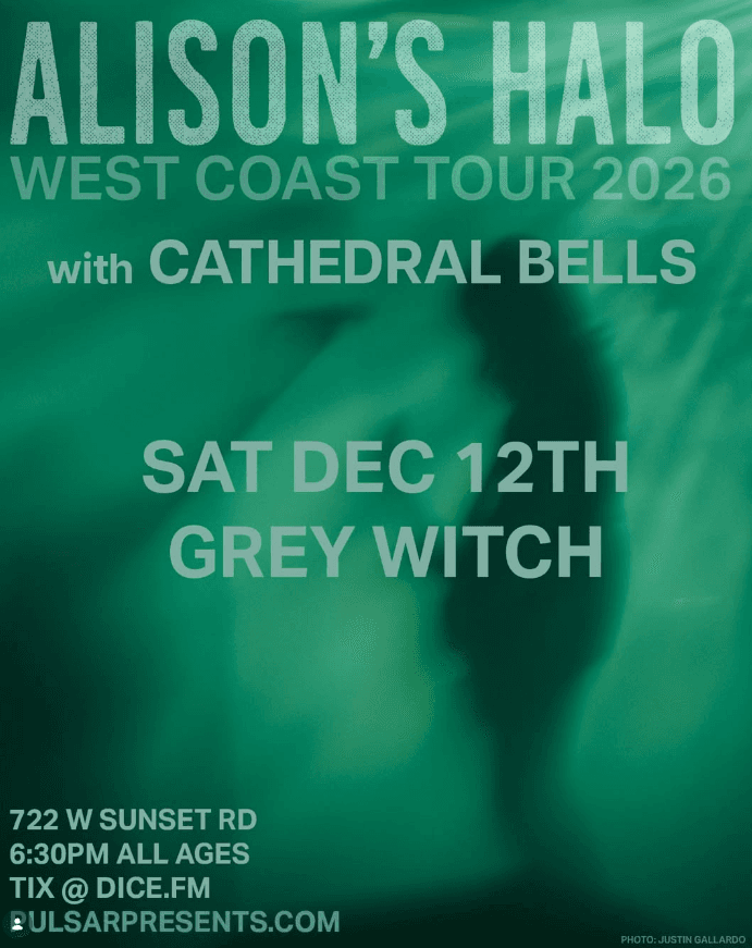 Alison's Halo flyer