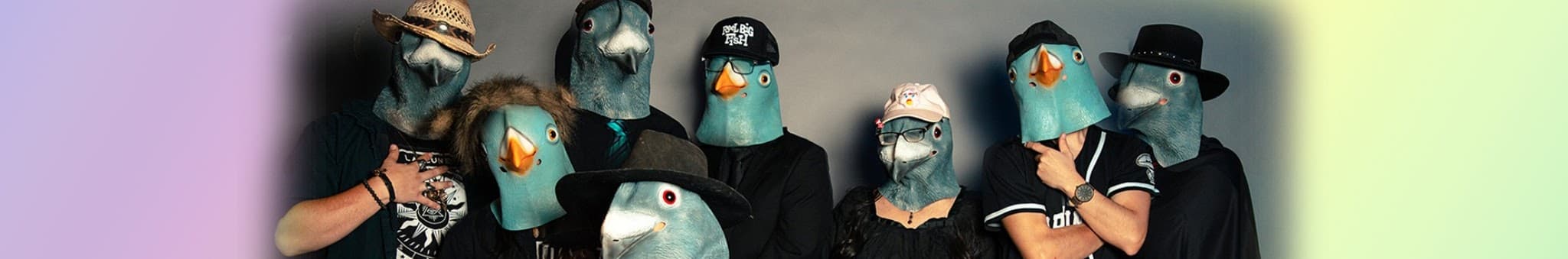 Pigeon Hat Collective banner